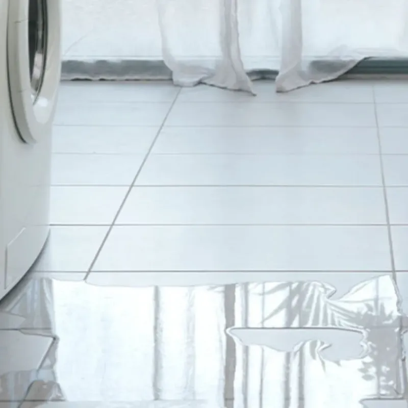 Appliance Leak Cleanup in Lewis County, TN
