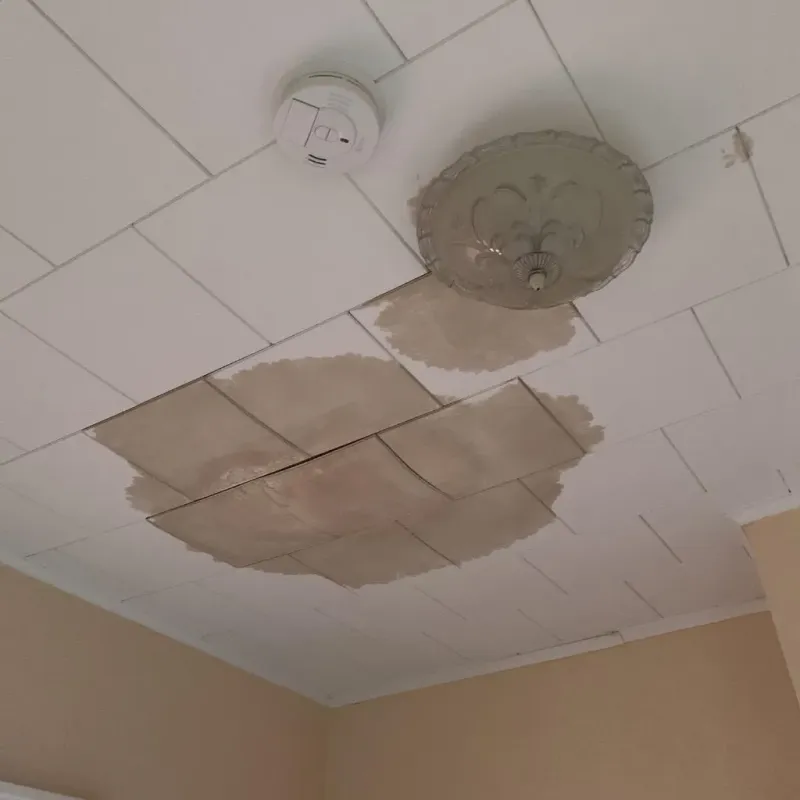 Ceiling Water Damage Repair in Lewis County, TN