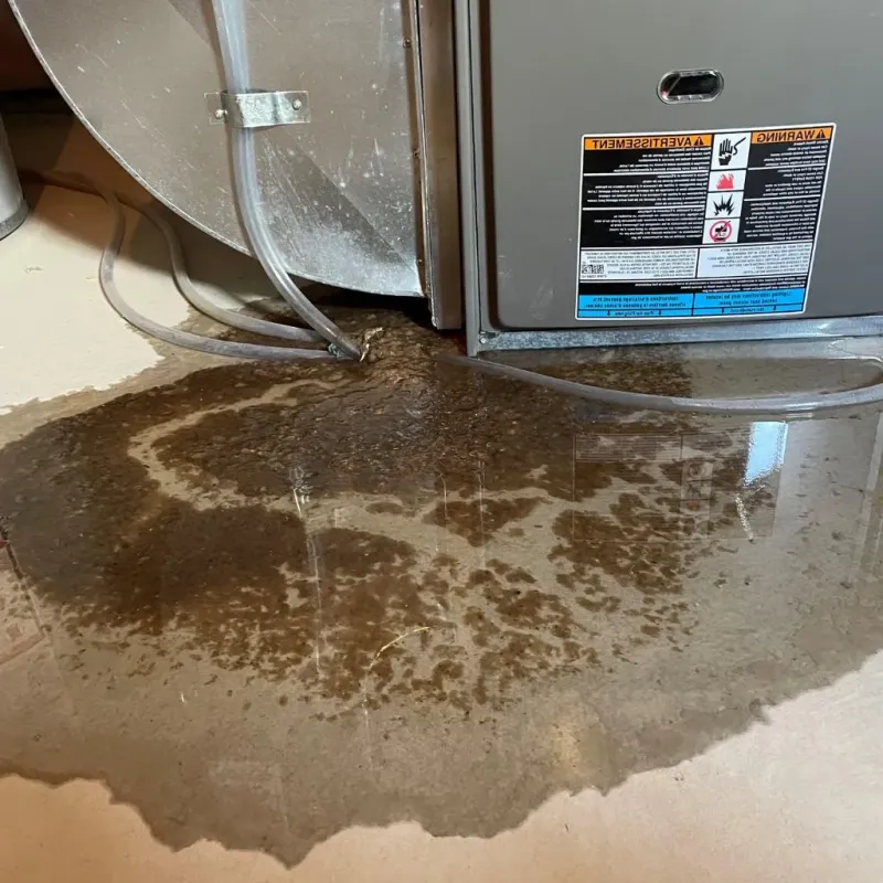 Pipe Burst and Leak Restoration in Lewis County, TN